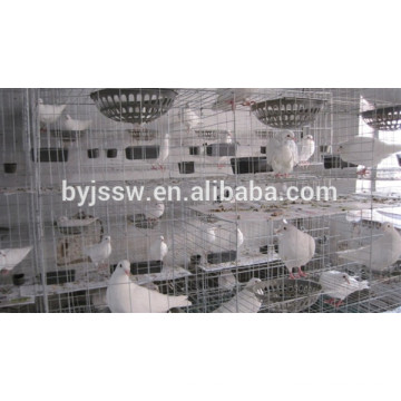 Cage of pigeon for Sale of high-quality wire mesh